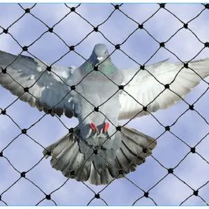 Comment installer un treillis métallique sur un toit ?